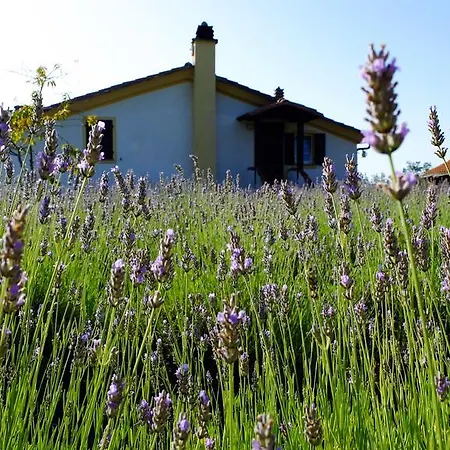 Agriturismo Il Roccolo ファームステイ *