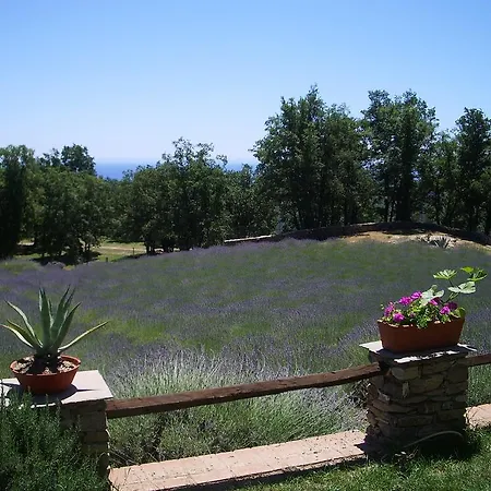 Gospodarstwo agroturystyczne Agriturismo Il Roccolo