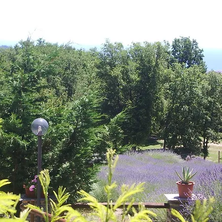Agriturismo Il Roccolo