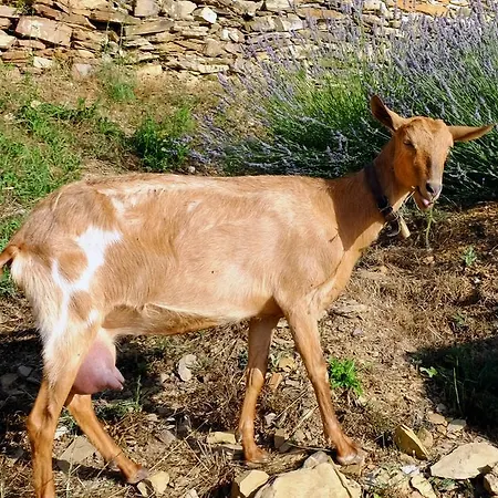 Farmház Agriturismo Il Roccolo Pantasina