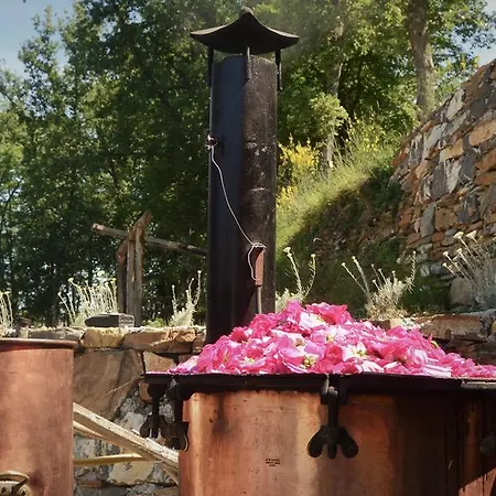Agriturismo Il Roccolo