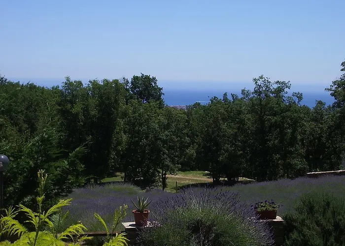 Agriturismo Il Roccolo