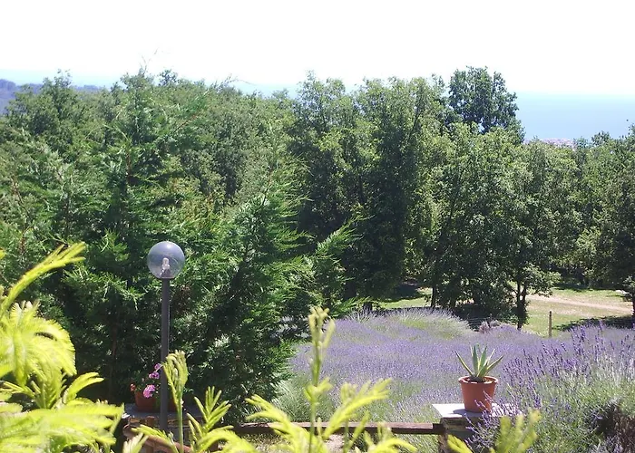 Agriturismo Il Roccolo