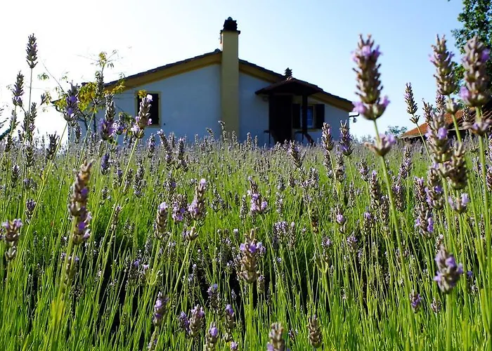 Agriturismo Il Roccolo Feriegård *