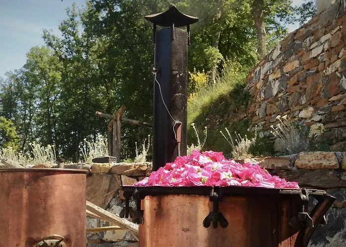 Agriturismo Il Roccolo